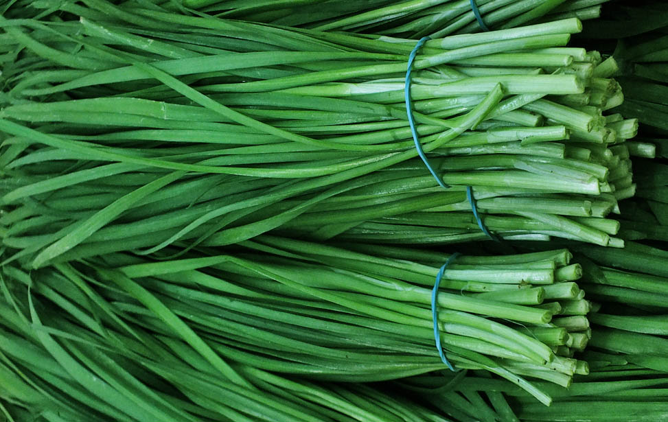 Chives