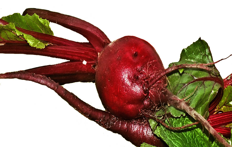 Beetroot