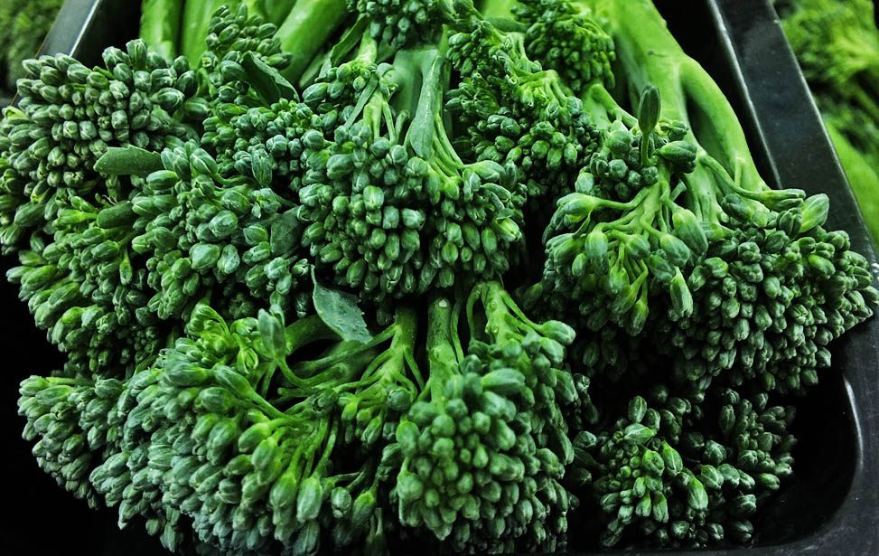 Broccoli